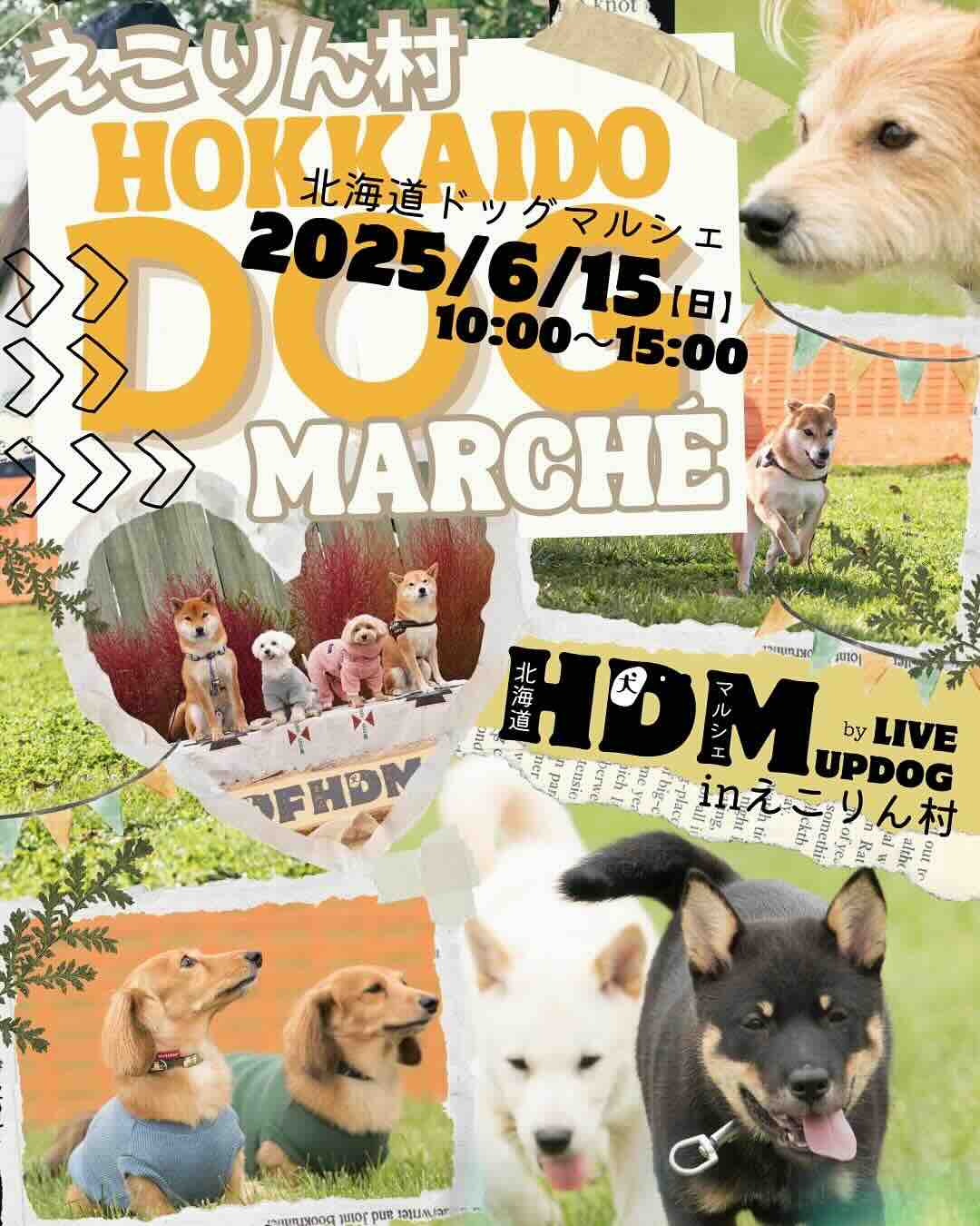 HDM（北海道ドッグマルシェ）inえこりん村のイベント画像