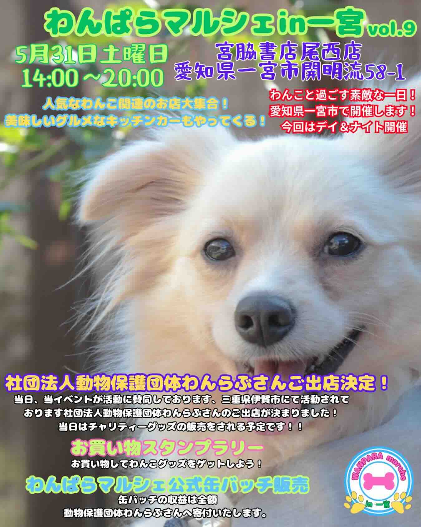 わんぱらマルシェ in 一宮 vol.9のイベント画像
