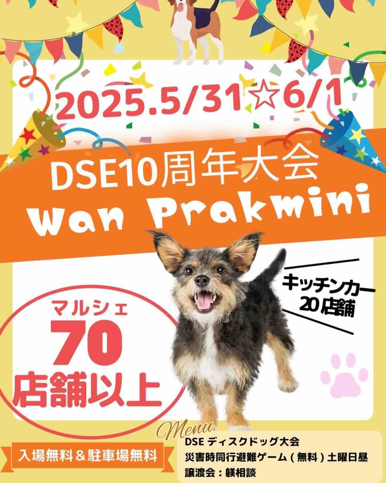 DSE10周年 秋ヶ瀬Wanパークminiのイベント画像