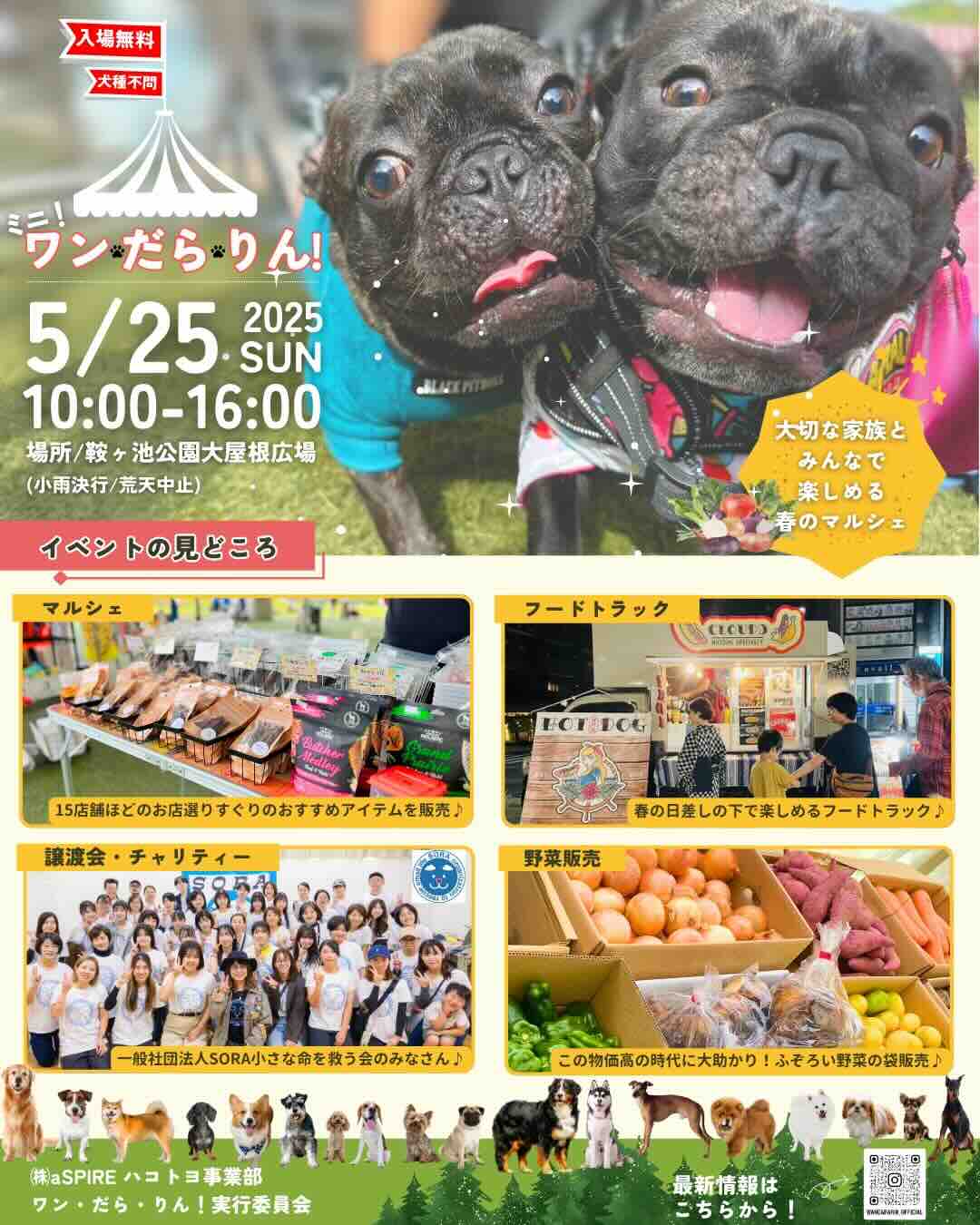 ミニ!ワン・だら・りん!のイベント画像