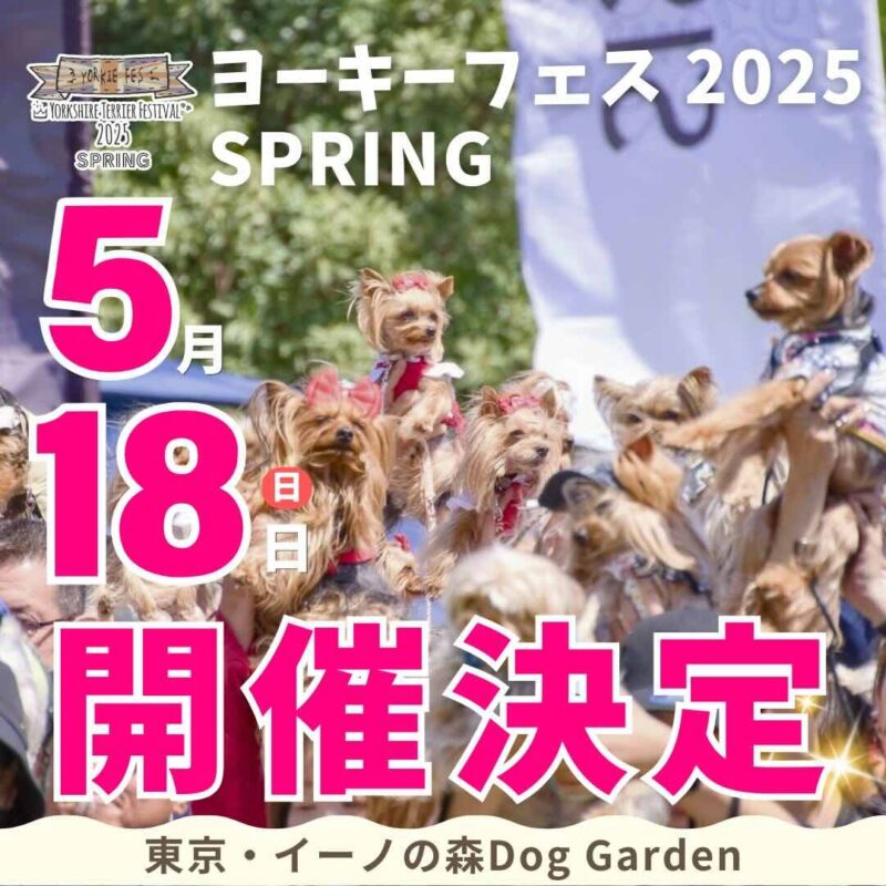 ヨーキーフェス2025 Spring – Yorkie Festival 2025 Spring –のイベント画像