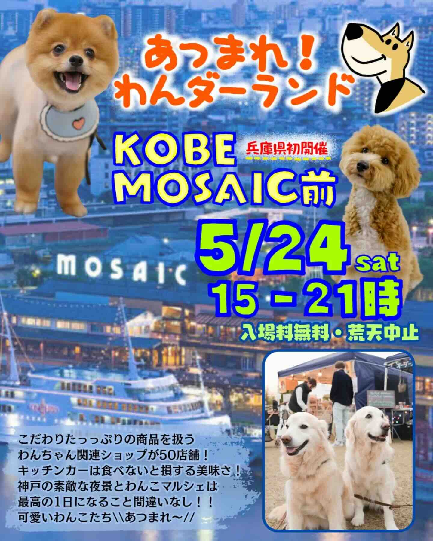 あつまれ!わんダーランドのイベント画像