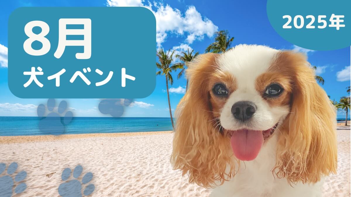 【犬とお出かけ】2025年8月犬イベントの画像