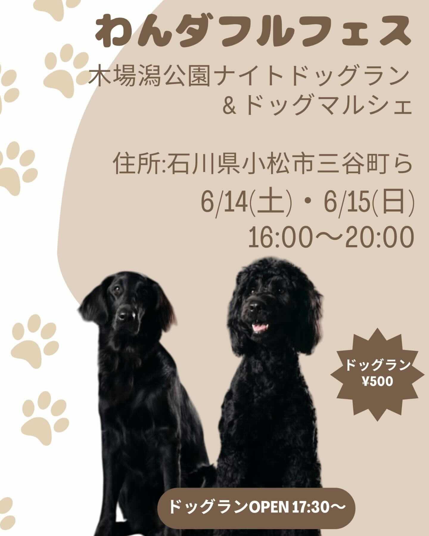わんダフルフェス -木場潟公園 ナイトドッグラン&マルシェ-のイベント画像
