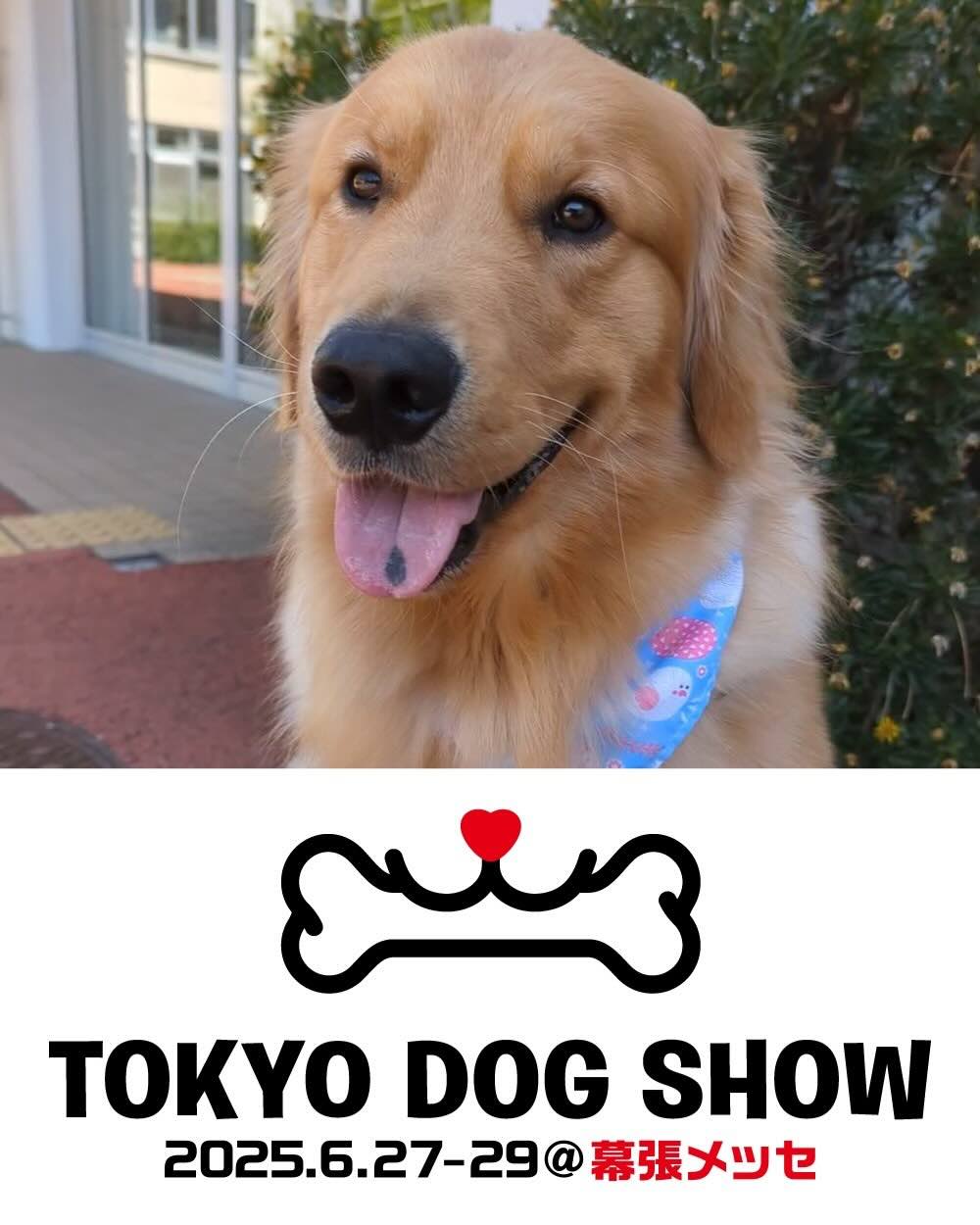 TOKYO DOG SHOW 2025のイベント画像