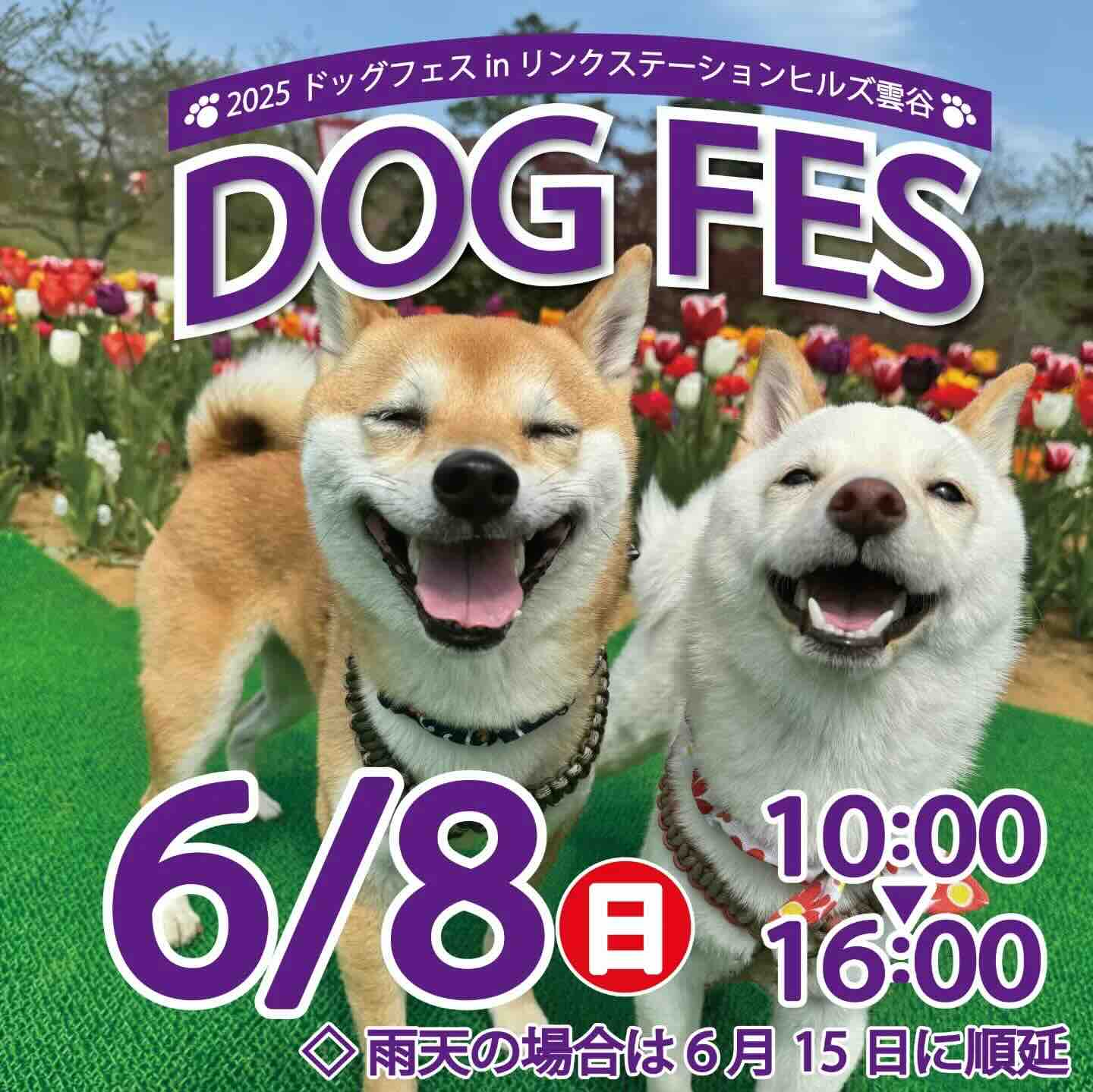 2025 ドッグフェス in リンクステーションヒルズ雲谷のイベント画像