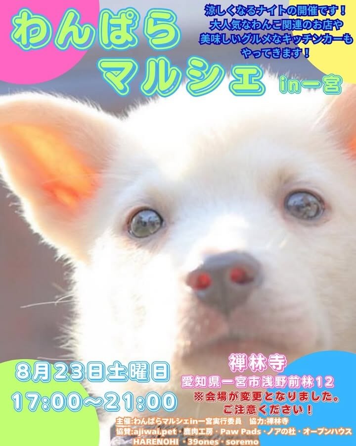 わんぱらマルシェ in 一宮のイベント画像