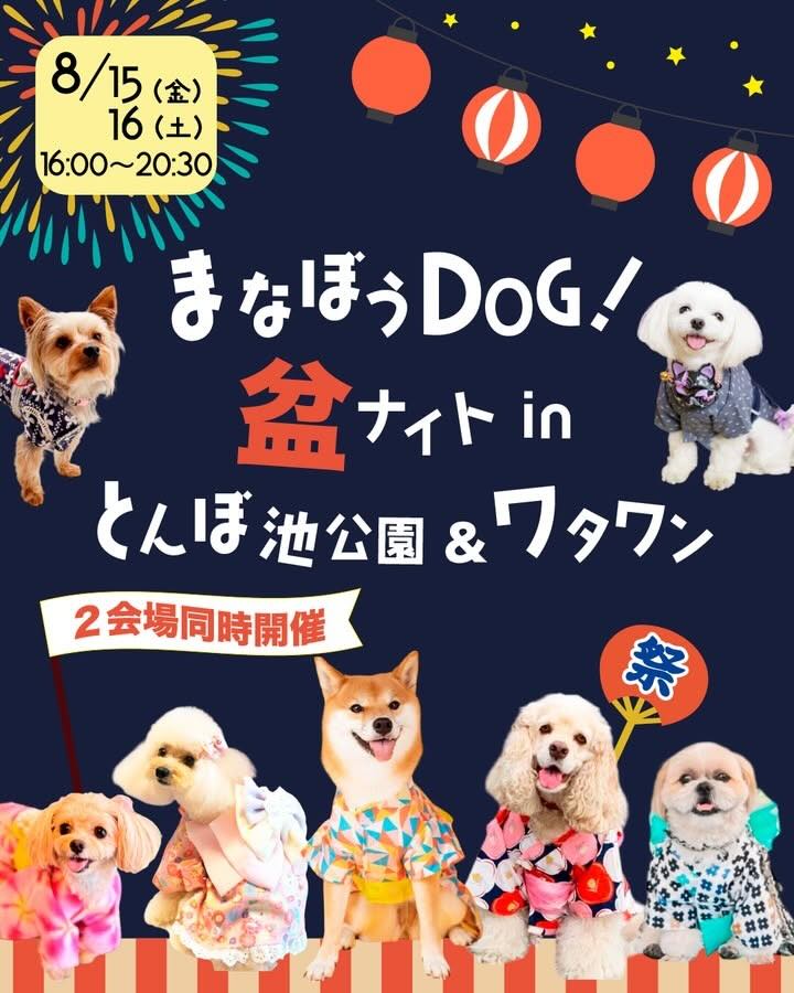 まなぼうDOG!盆ナイトのイベント画像