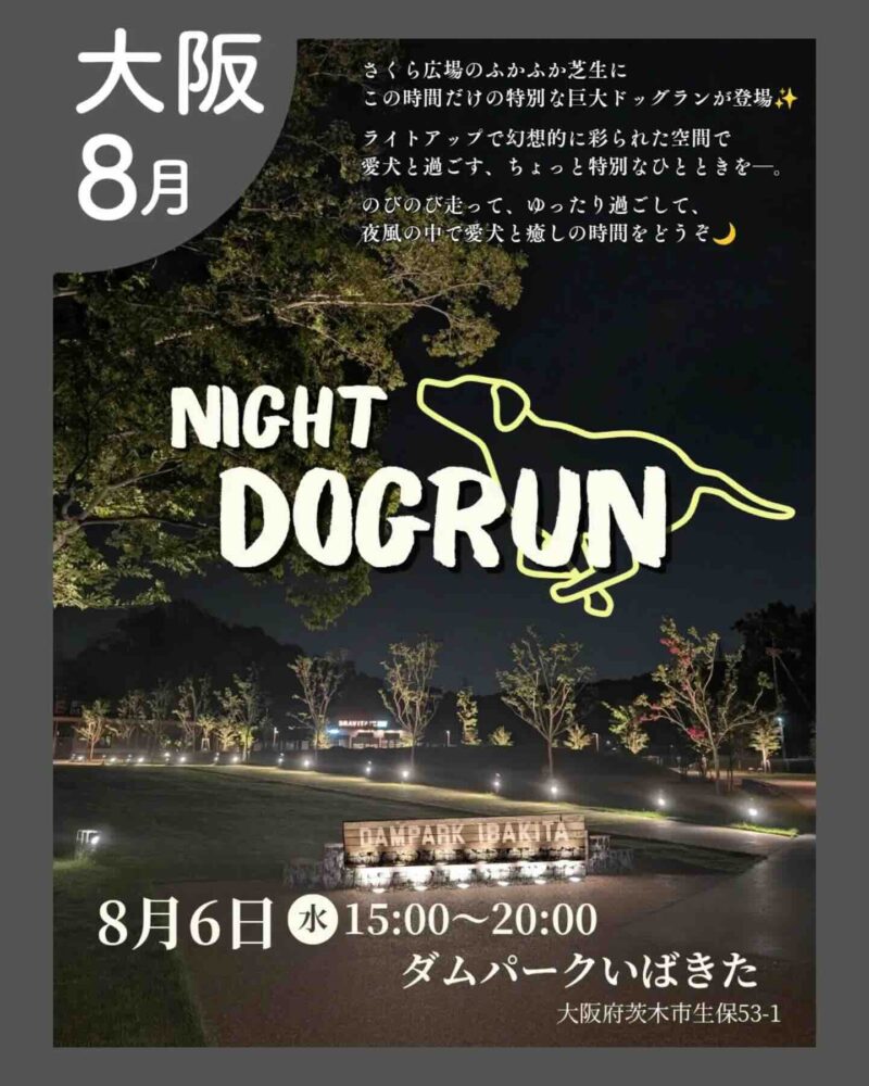 あつまれ!わんダーランドのイベント画像