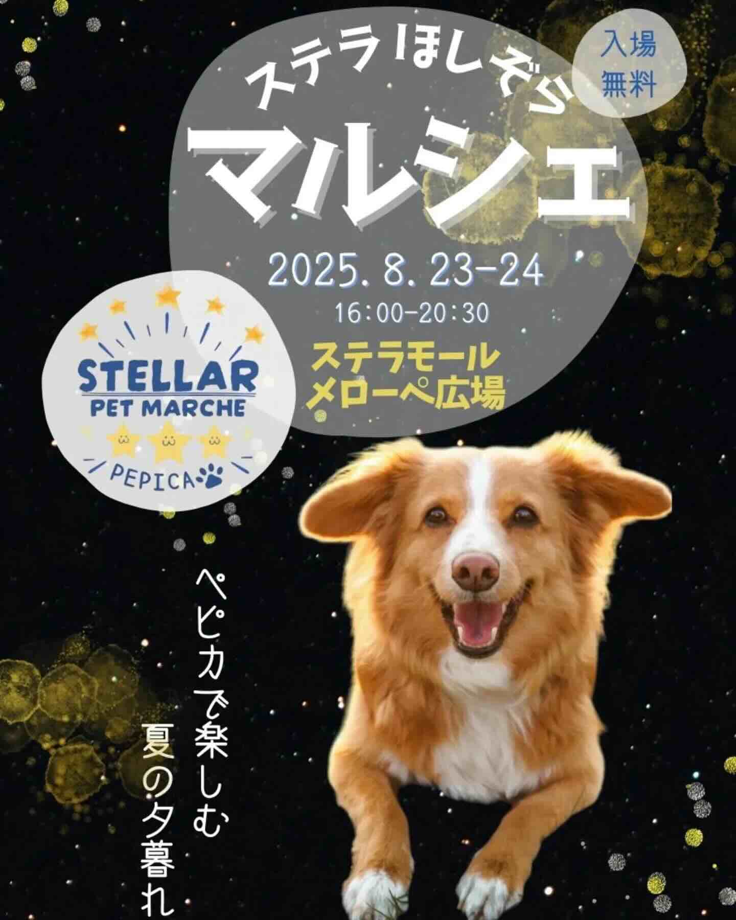 ステラほしぞらマルシェのイベント画像