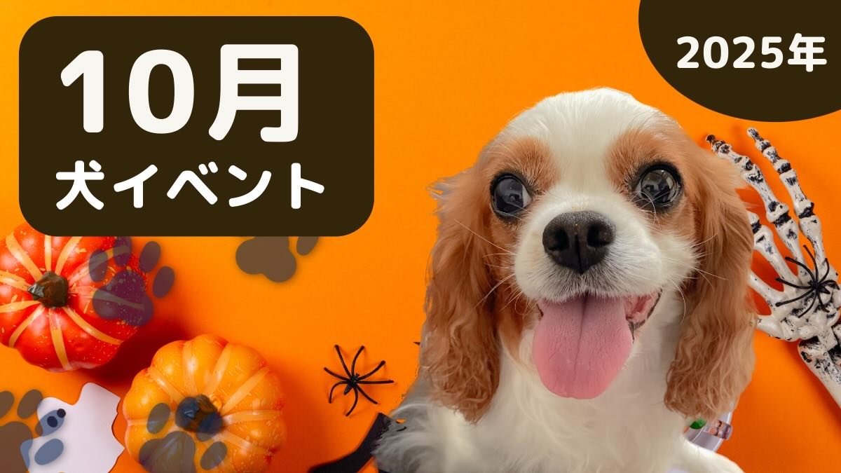 【犬とお出かけ】2025年10月犬イベントの画像