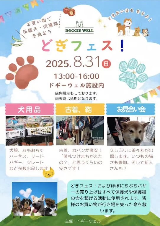 どぎフェスのイベント画像