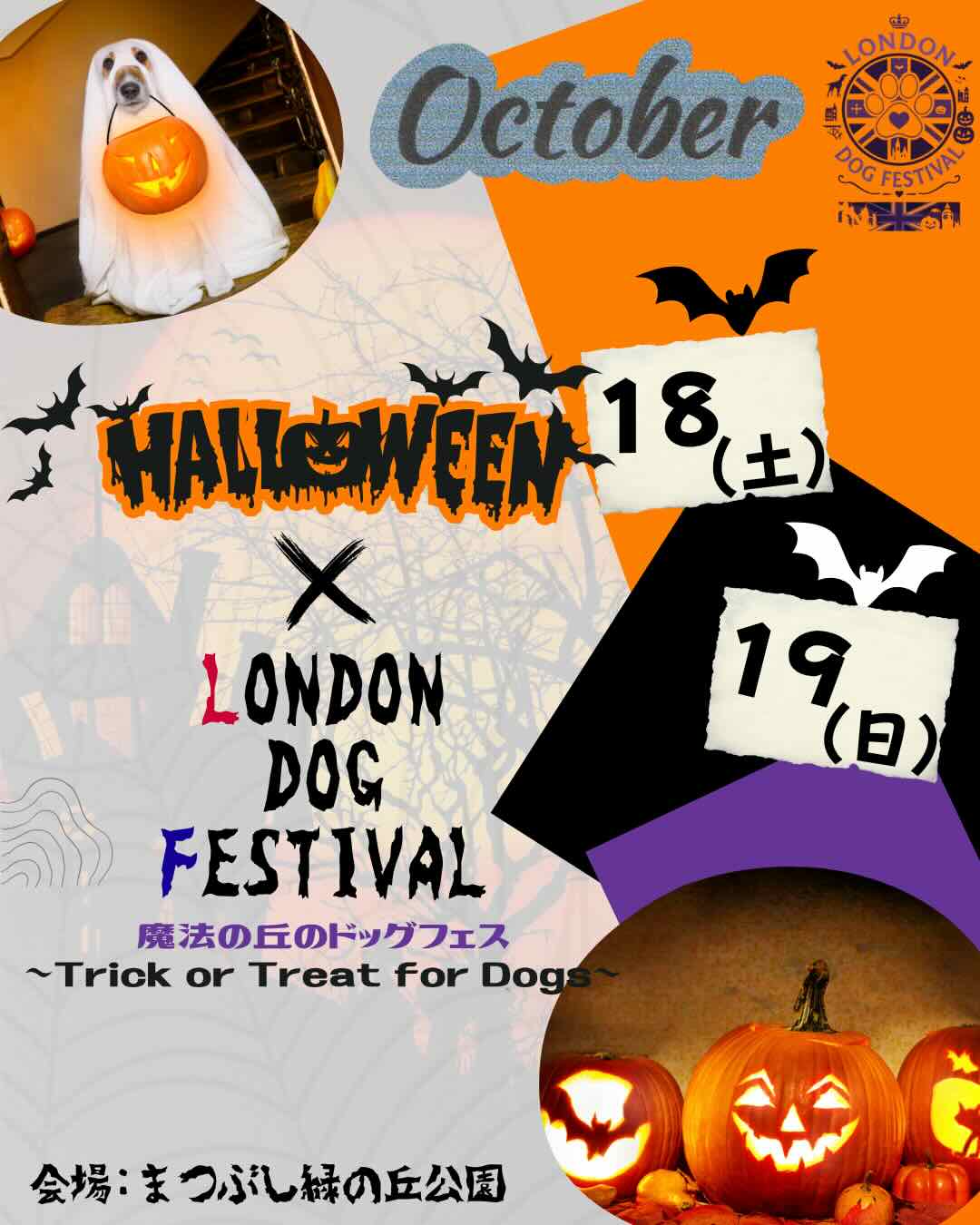 London Dog Festival 2025 ~魔法の丘のドッグフェス~ in まつぶし緑の丘公園(ロンドンドッグフェスティバル)のイベント画像