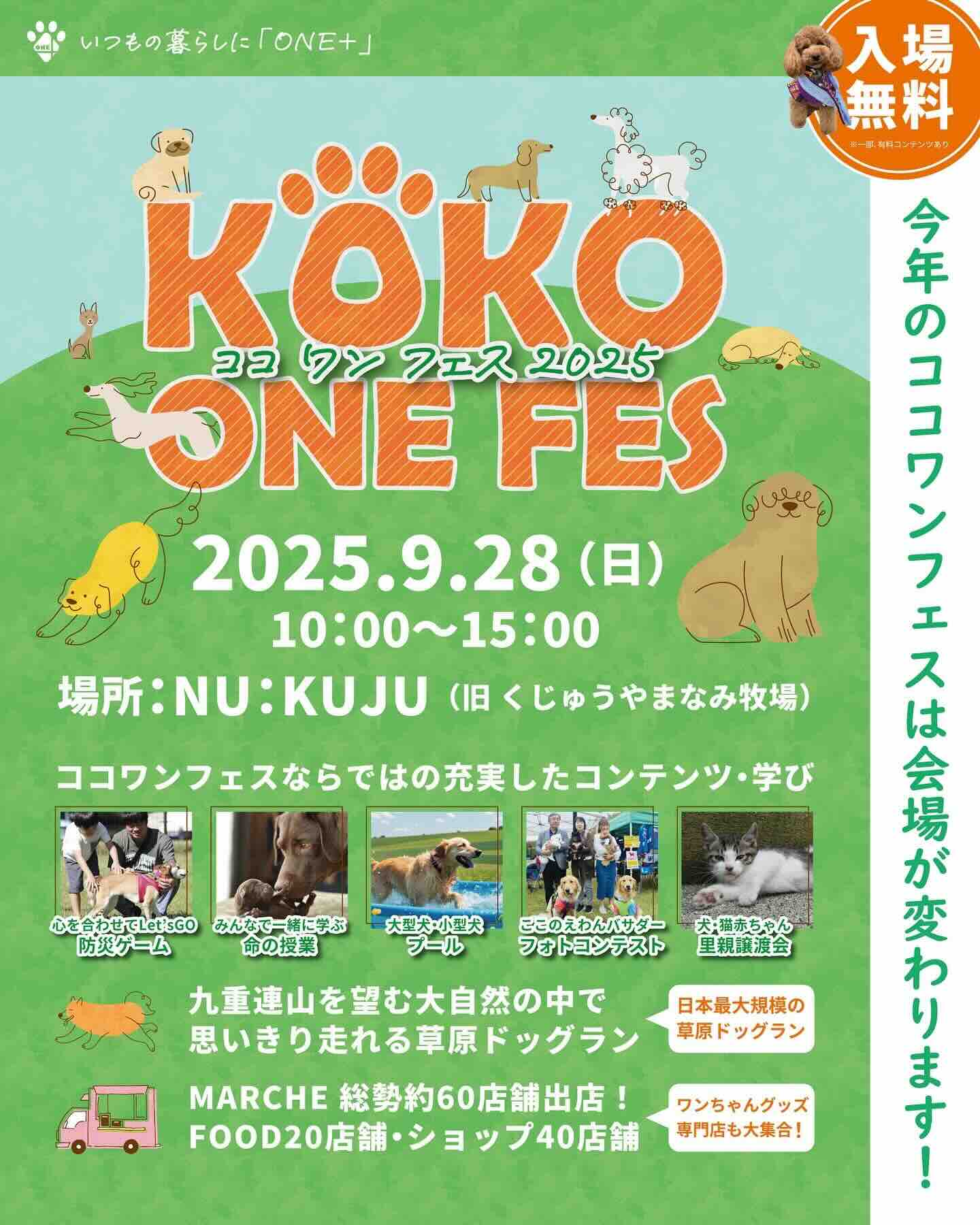 KOKO ONE FES(ここわんフェス)のイベント画像