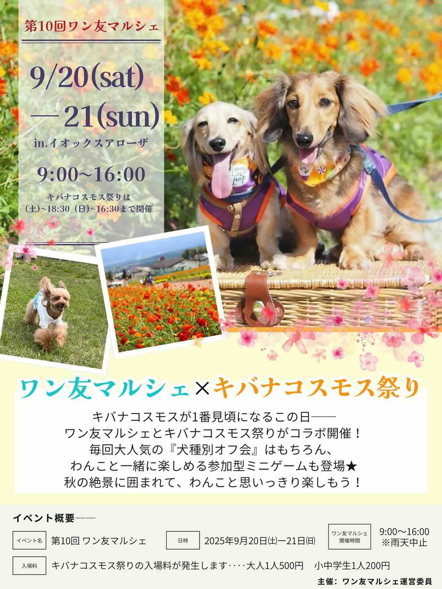 第10回ワン友マルシェのイベント画像