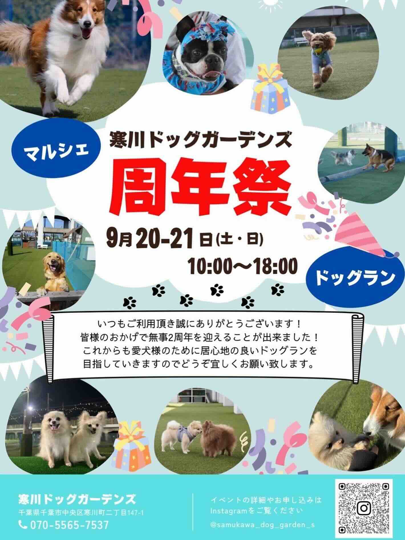 寒川ドッグガーデンズ 周年祭のイベント画像