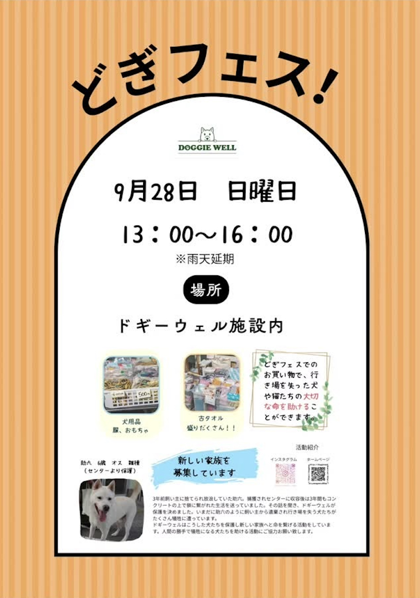 どぎフェスのイベント画像