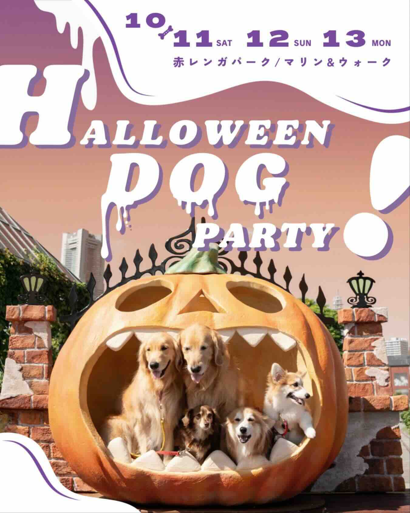 BAY WALK MARKET 2025〜HALLOWEEN DOG PARTY! 2025〜のイベント画像