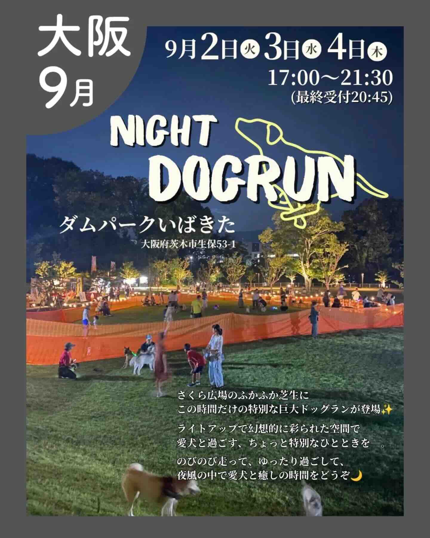 あつまれ!わんダーランド〜NIGHT DOGRUN〜のイベント画像