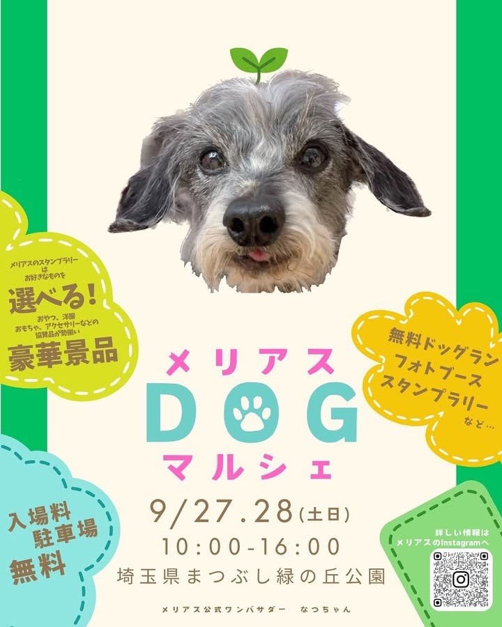 メリアスDOGマルシェのイベント画像