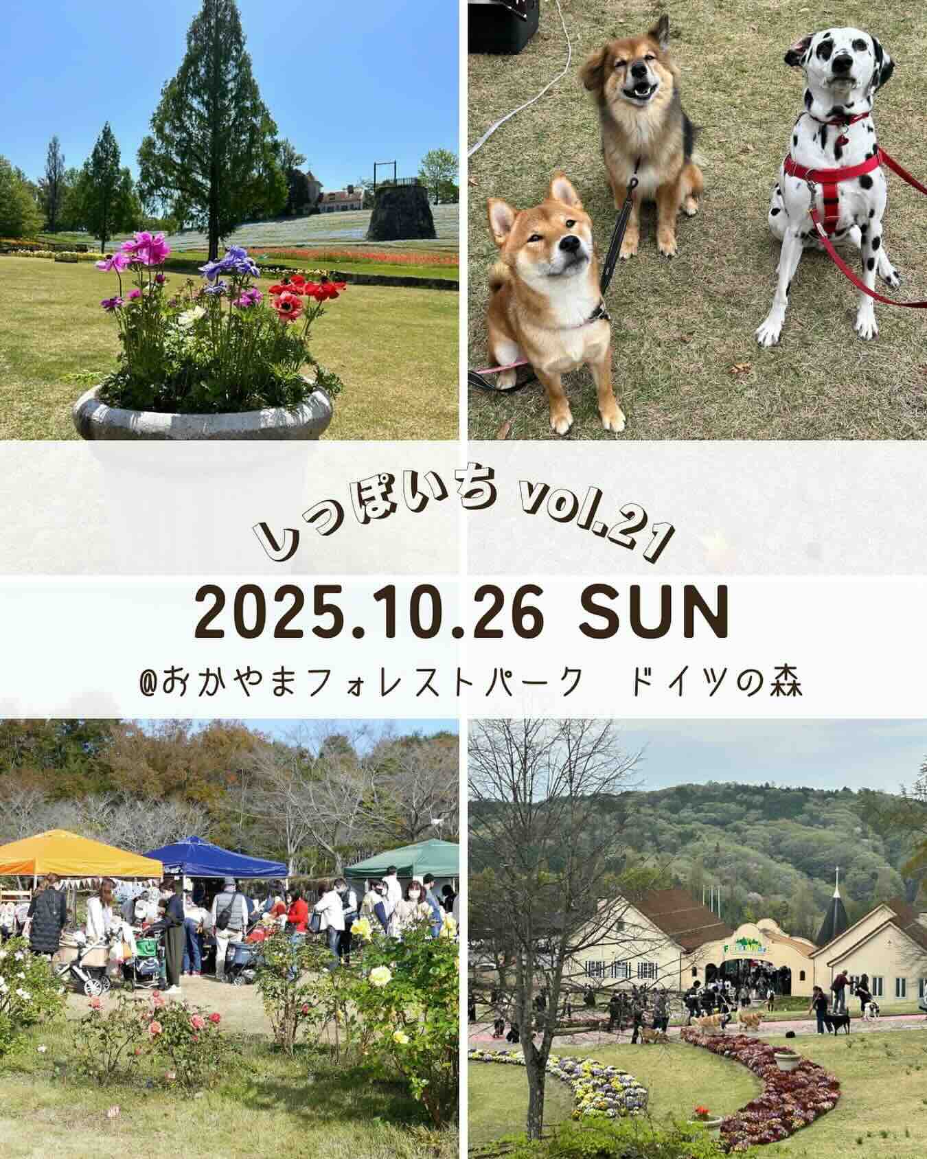 しっぽいち vol.21のイベント画像