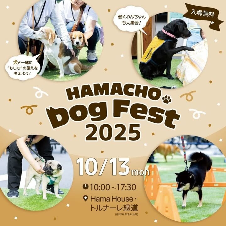 HAMACHO Dog Fest 2025のイベント画像