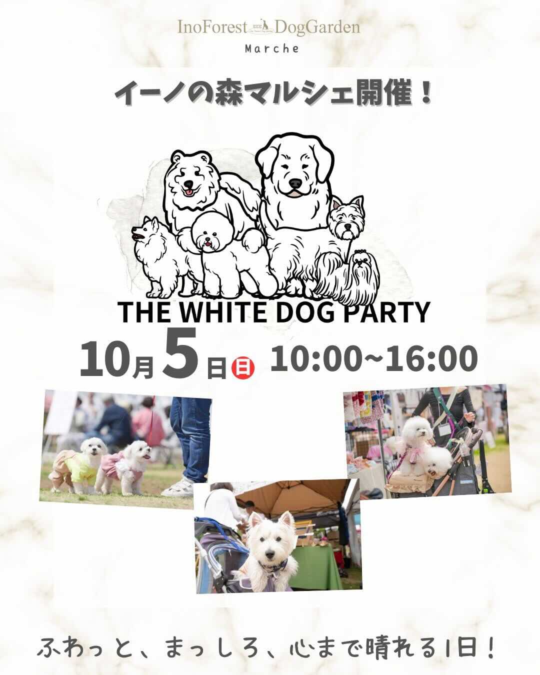 イーノの森マルシェ〜THE WHITE DOG PARTY〜のイベント画像