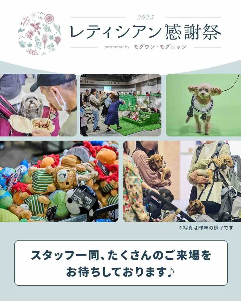 レティシアン感謝祭2025のイベント画像