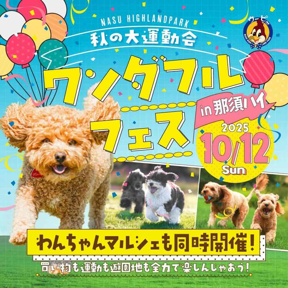 ワンダフルフェス in 那須ハイのpイベント画像