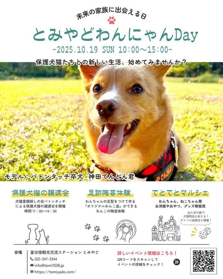 とみやどわんにゃんDayのイベント画像