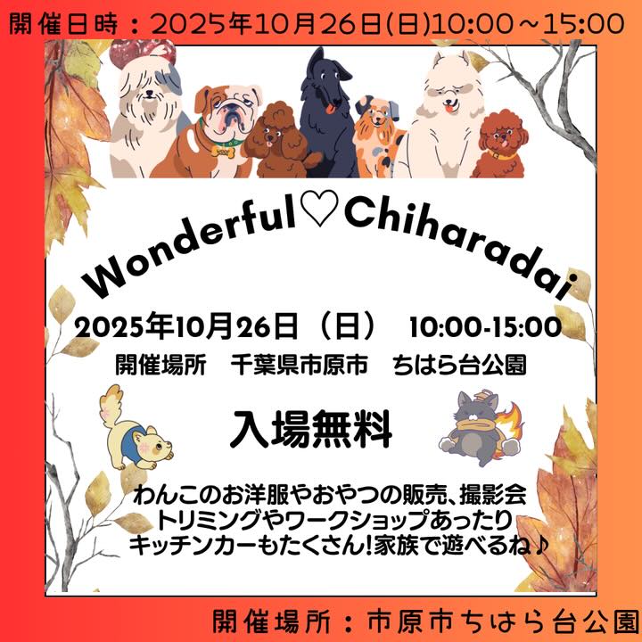 わんだふるちはらだいのイベント画像