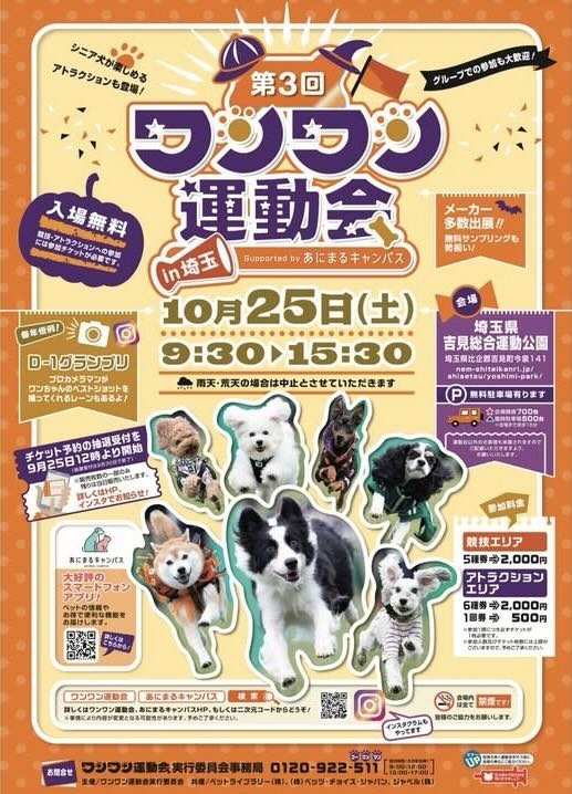 第3回 ワンワン運動会 in 埼玉のイベント画像