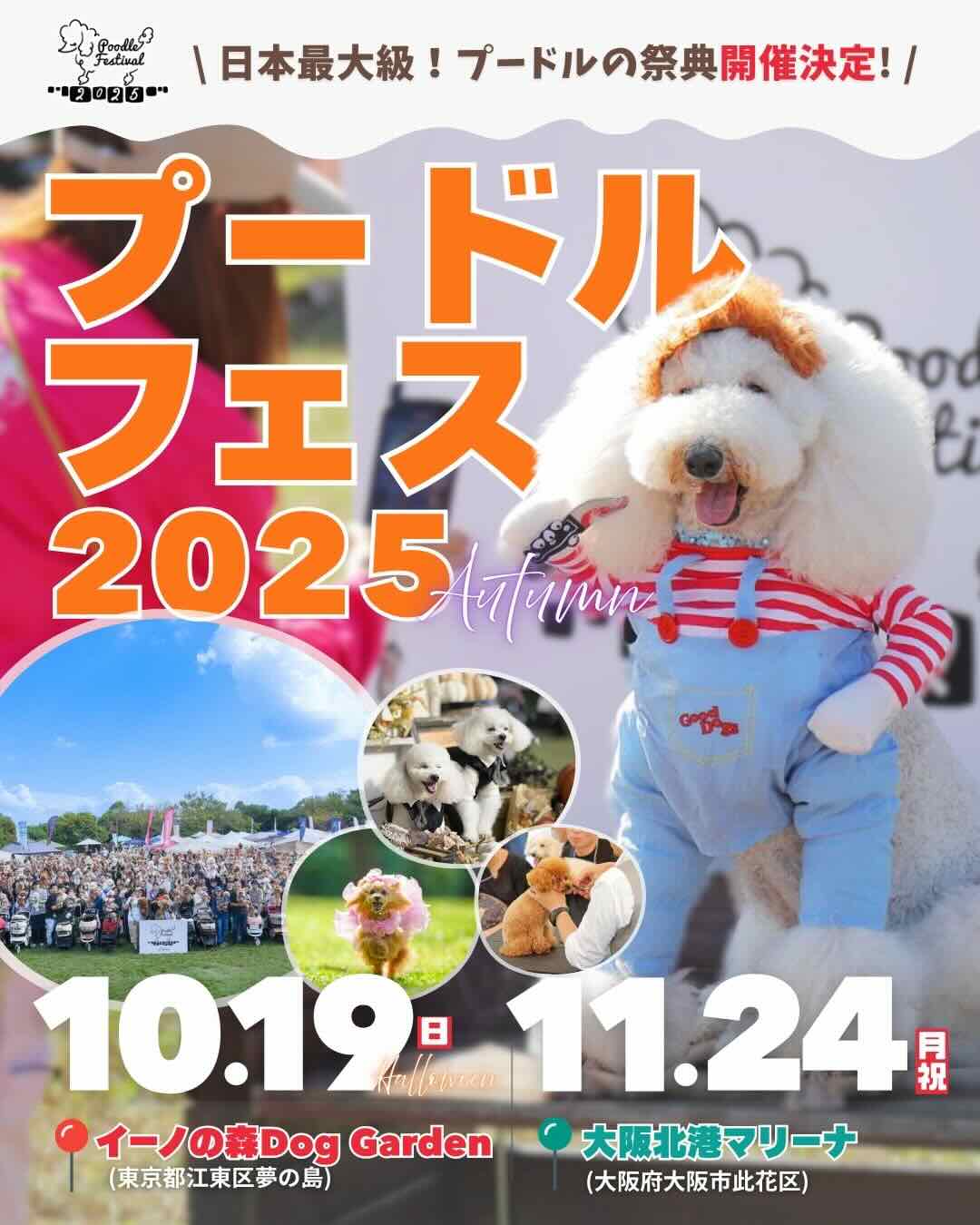 プードルフェスティバル 2025 HALLOWEENのイベント画像