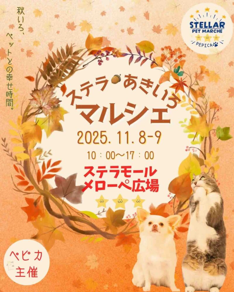 ステラあきいろマルシェのイベント画像