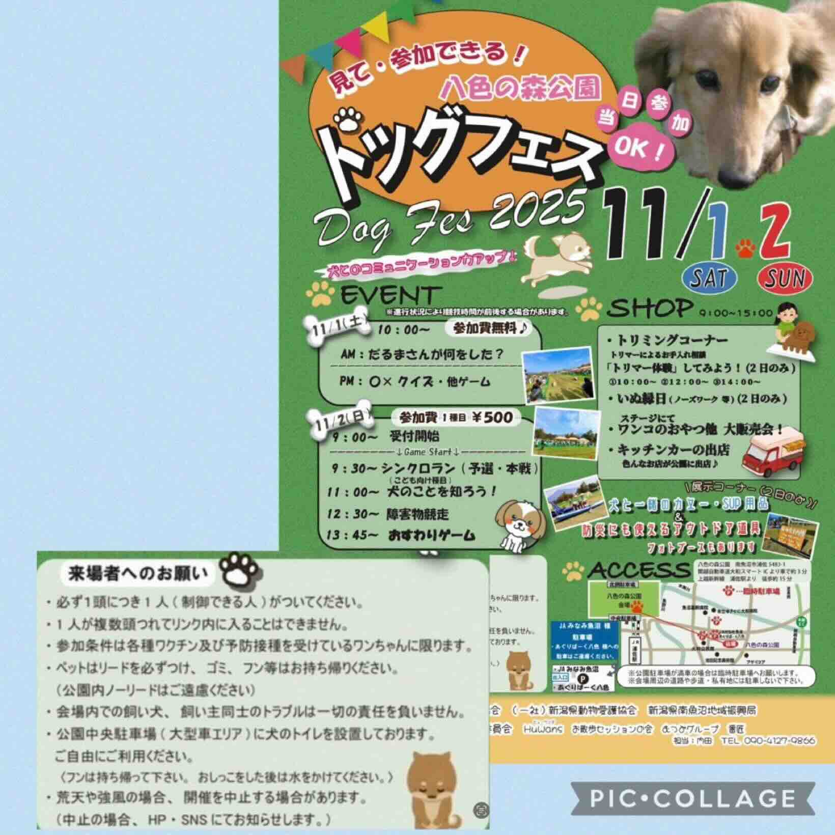 八色の森公園 ドッグフェス2025のイベント画像