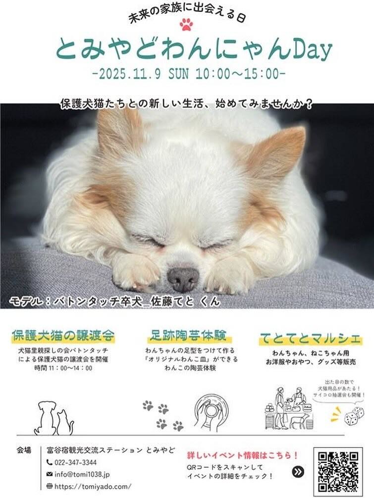 とみやどわんにゃんDayのイベント画像