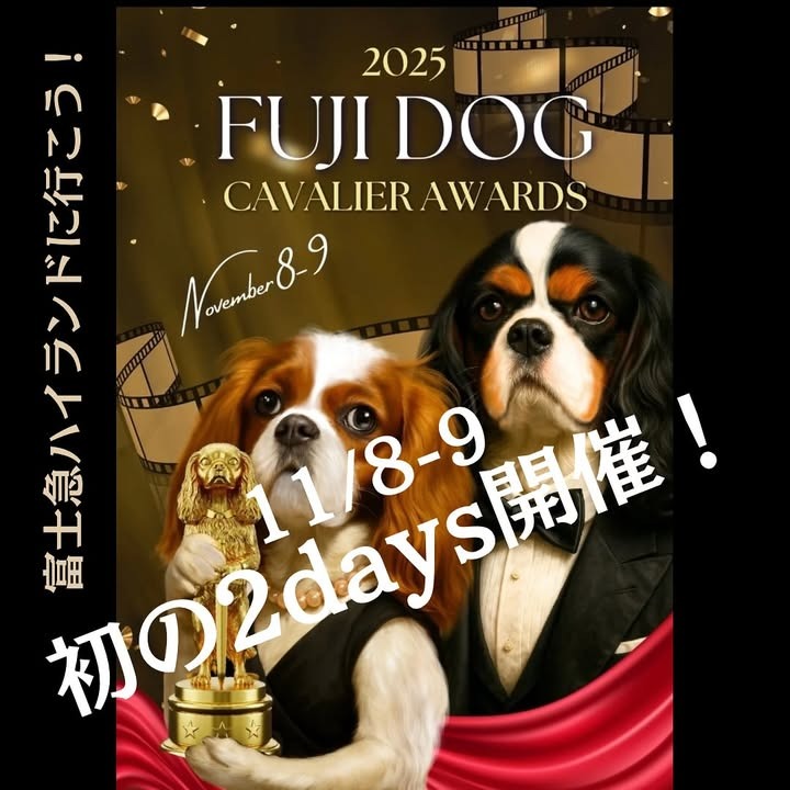 FUJIDOG 2025 CAVALIER AWARDS〜みんなで歩こうレッドカーペット〜のイベント画像