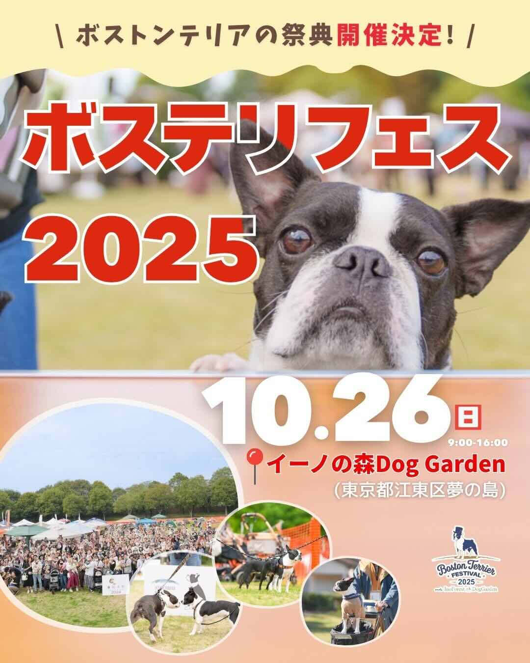 ボストンテリアフェスティバル 2025 meets イーノの森Dog Gardenのイベント画像