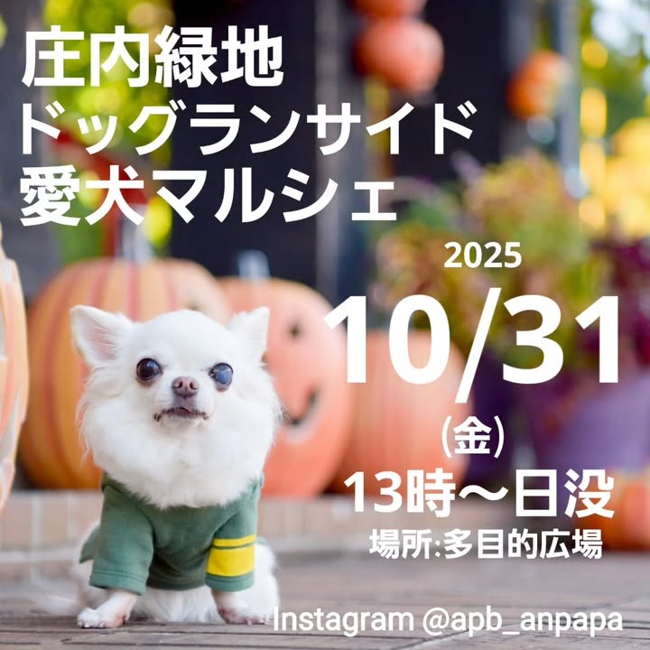 庄内緑地 ドッグランサイド 愛犬マルシェのイベント画像
