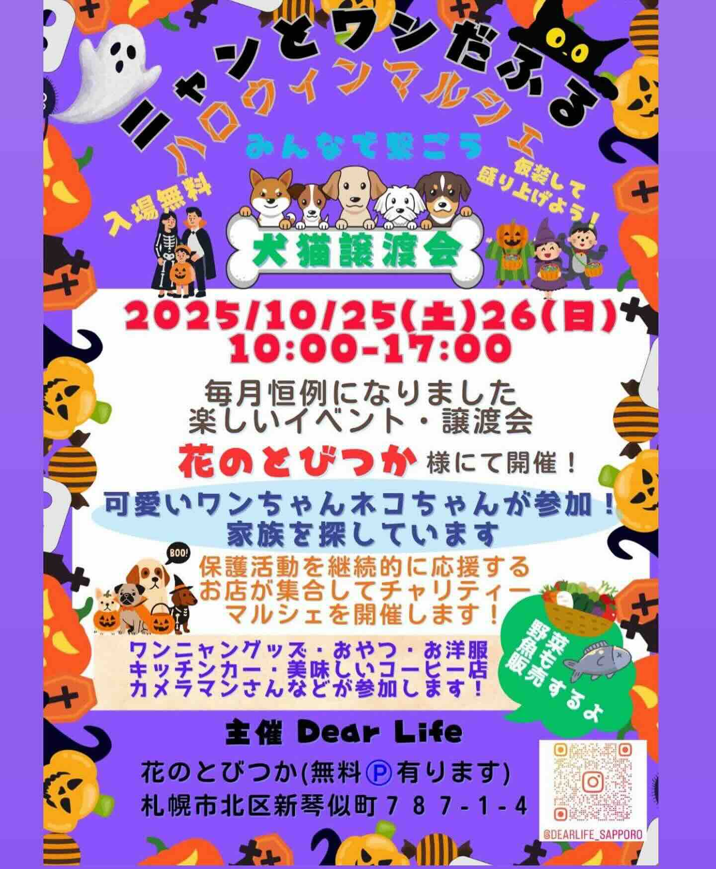ニャンとワンだふるハロウィンマルシェのイベント画像