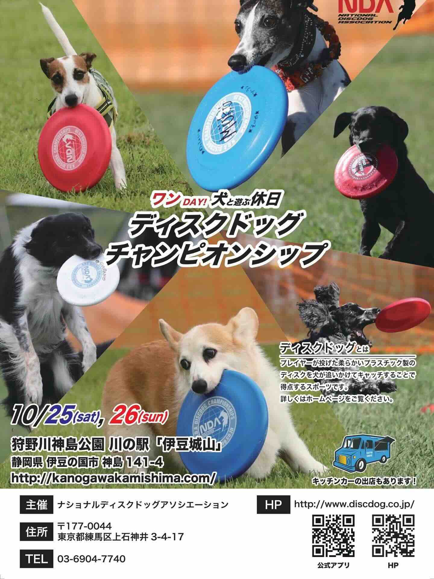 ディスクドッグ チャンピオンシップ in 川の駅伊豆城山のイベント画像