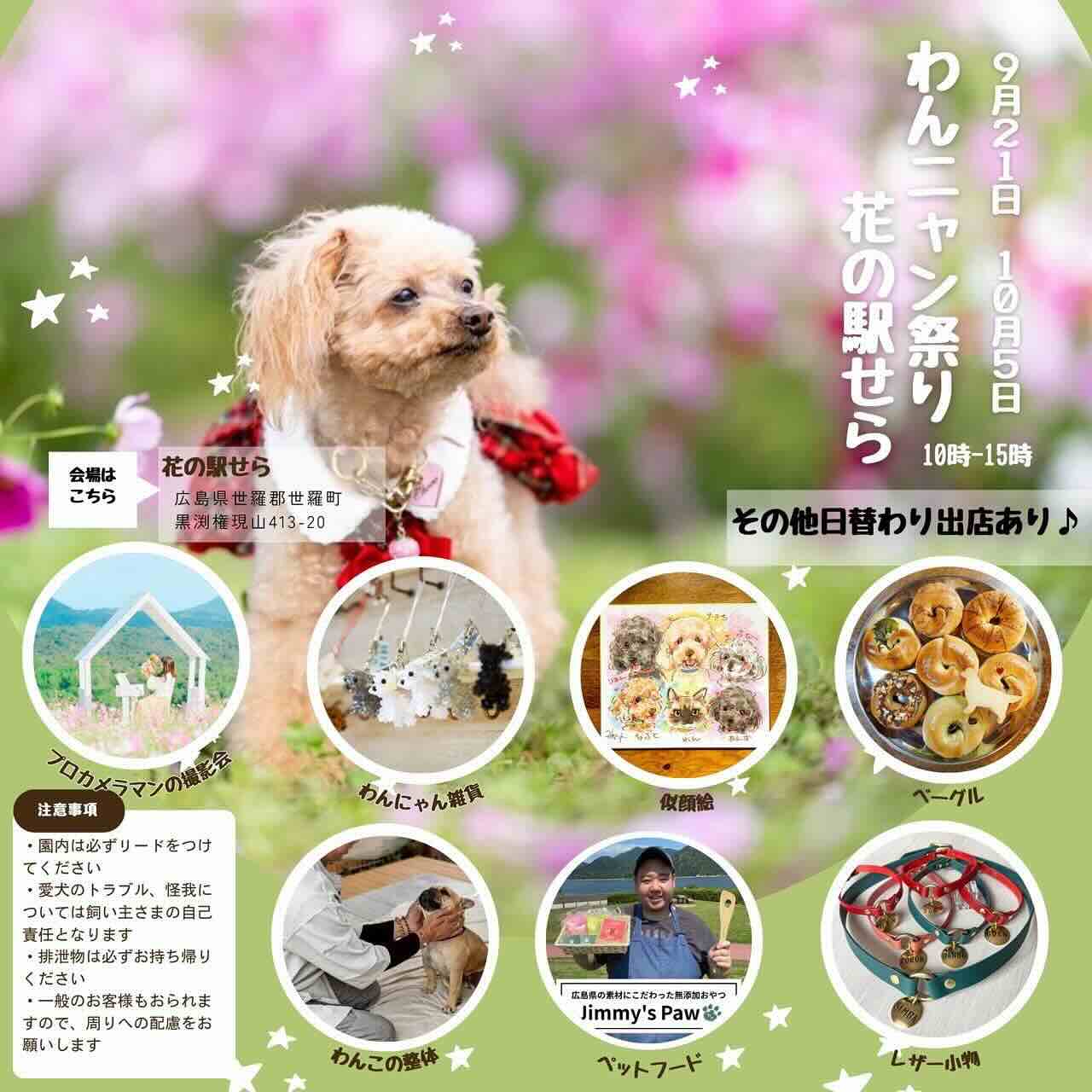 わんニャン祭り in 花の駅せらのイベント画像