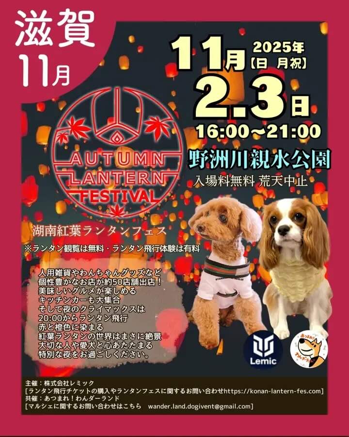 湖南紅葉ランタンフェス2025のイベント画像