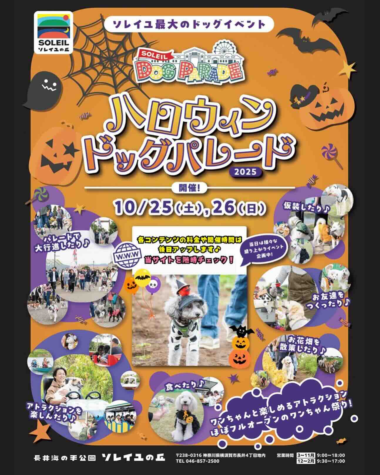 SOLEIL HALLOWEEN DOG PARADE 2025のイベント画像