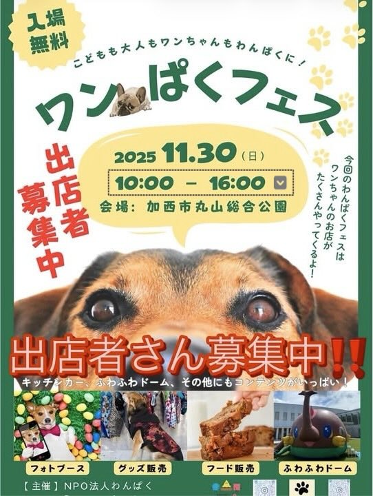 ワンぱくフェスのイベント画像