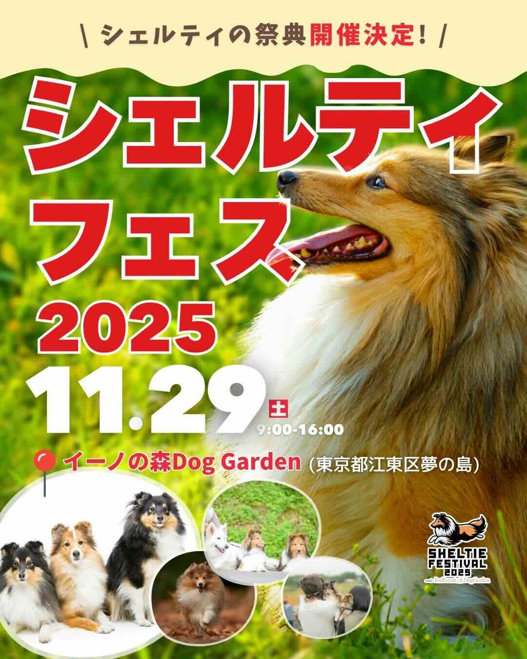 シェルティフェスティバル 2025 meets イーノの森Dog Garden – Sheitie Festival 2025 –のイベント画像