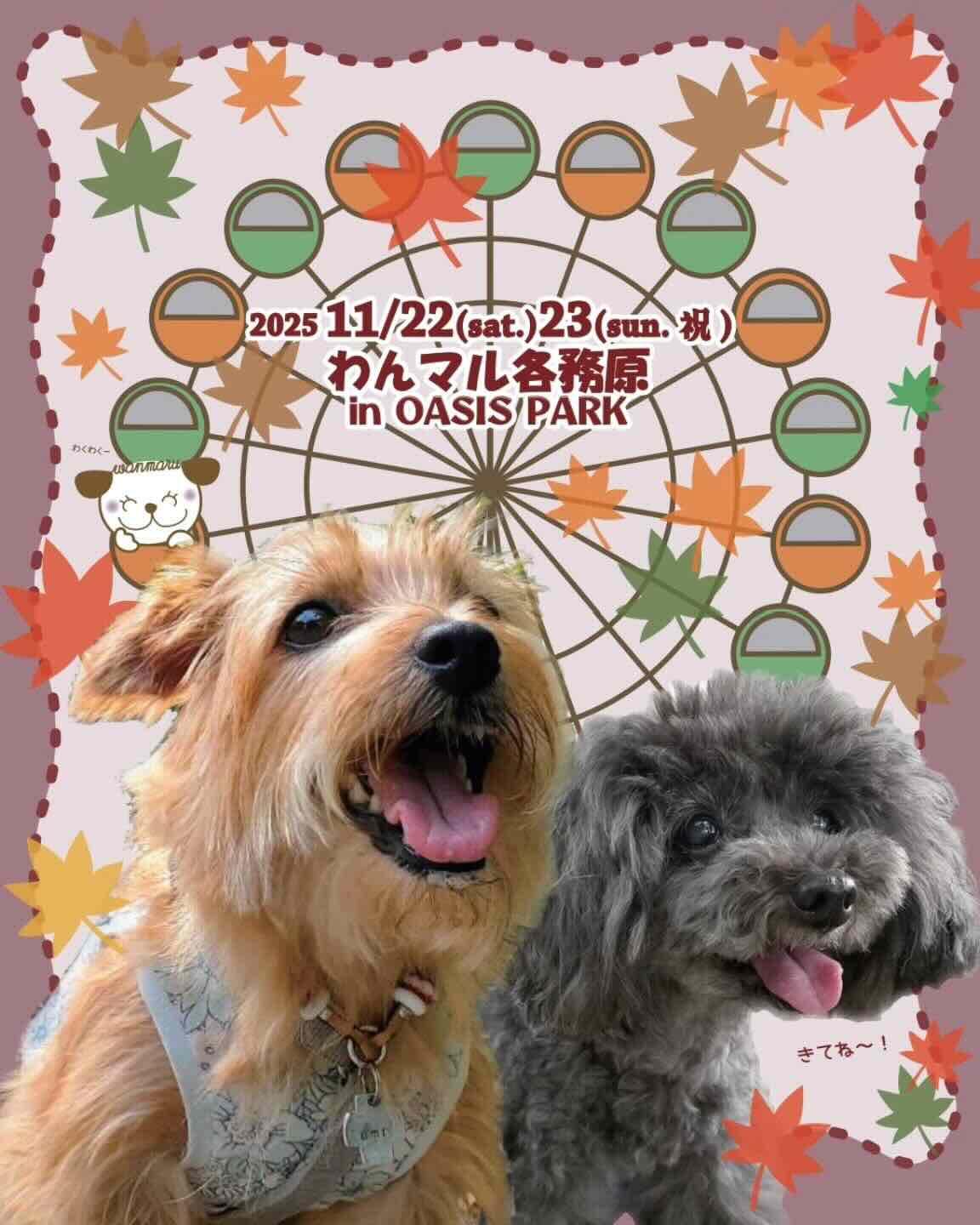 第51回 わんマル各務原 in OASIS PARKのイベント画像