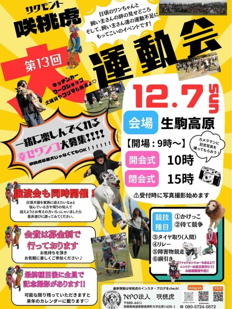 第13回 咲桃虎大運動会のイベント画像