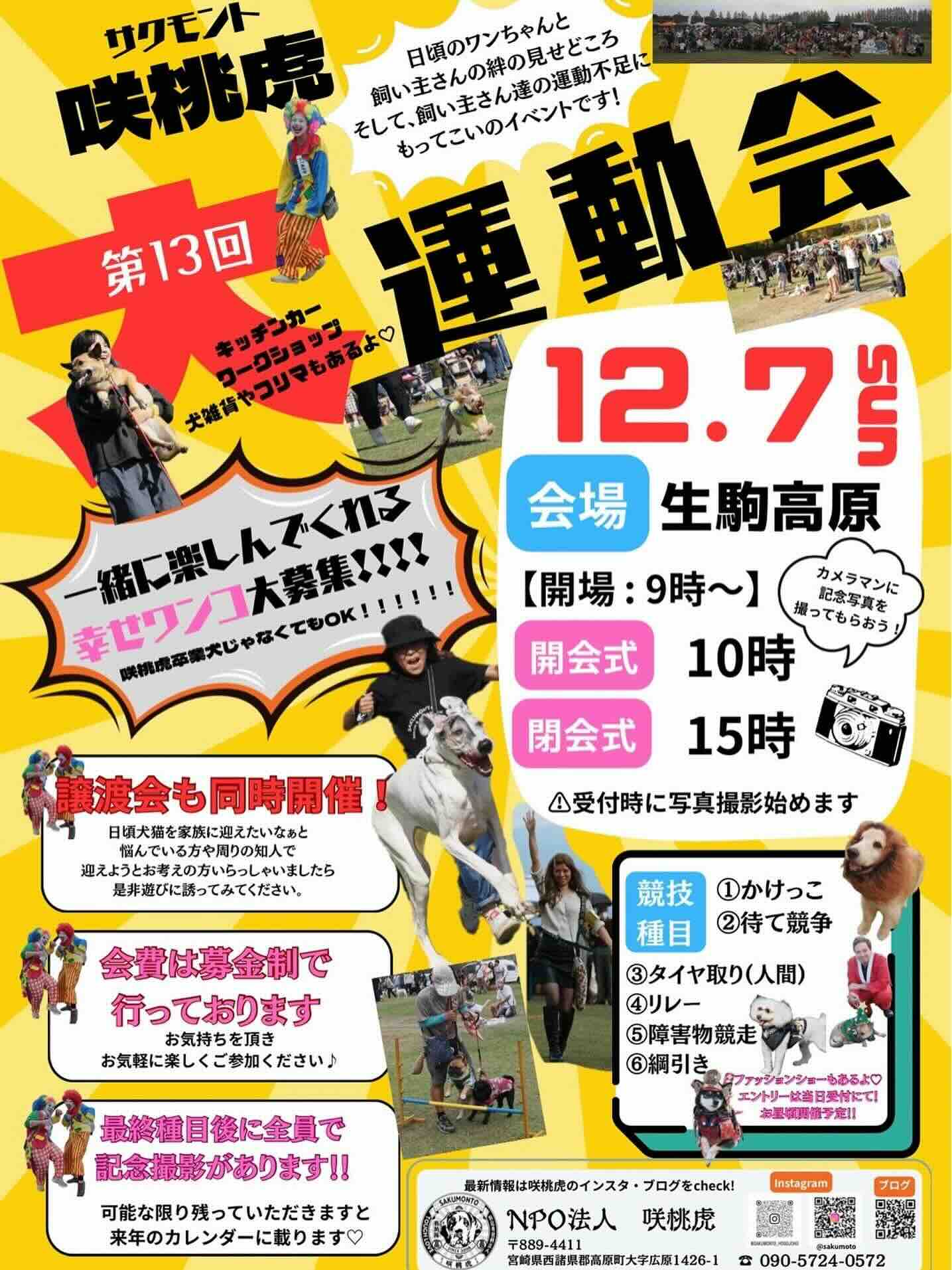 第13回 咲桃虎大運動会のイベント画像