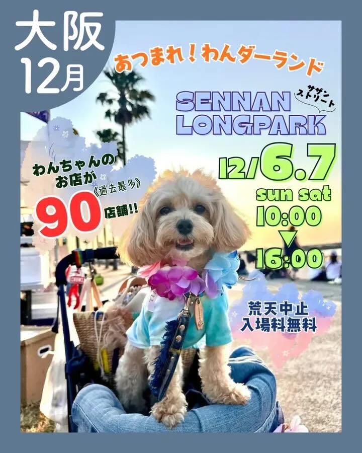 あつまれ！わんダーランド in SENNAN LONGPARK のイベント画像